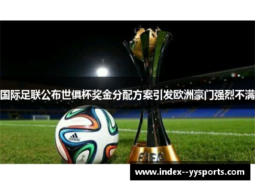 国际足联公布世俱杯奖金分配方案引发欧洲豪门强烈不满 国际足联公布世俱杯奖金分配方案引发欧洲豪门强烈不满